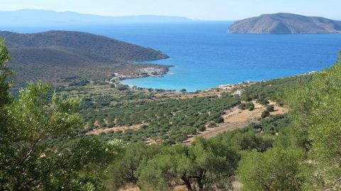 Located in Ierapetra. Seaview building plot, 6323 m2 in size, nicely positioned on the slope of the hill above the Beach of Tholos, North-East Crete. The land enjoys very nice panoramic views of the sea of the Mirabello Bay, the Kavousi valley and th...
