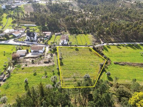 Terreno com enorme potencial, dado ser totalmente plano, em zona perfeitamente urbanizável e servida por estrada de alcatrão, saneamento básico, água e eletricidade e internet de fibra ótica. No lugar de Areal, em S. Miguel de Poiares, local calmo e ...